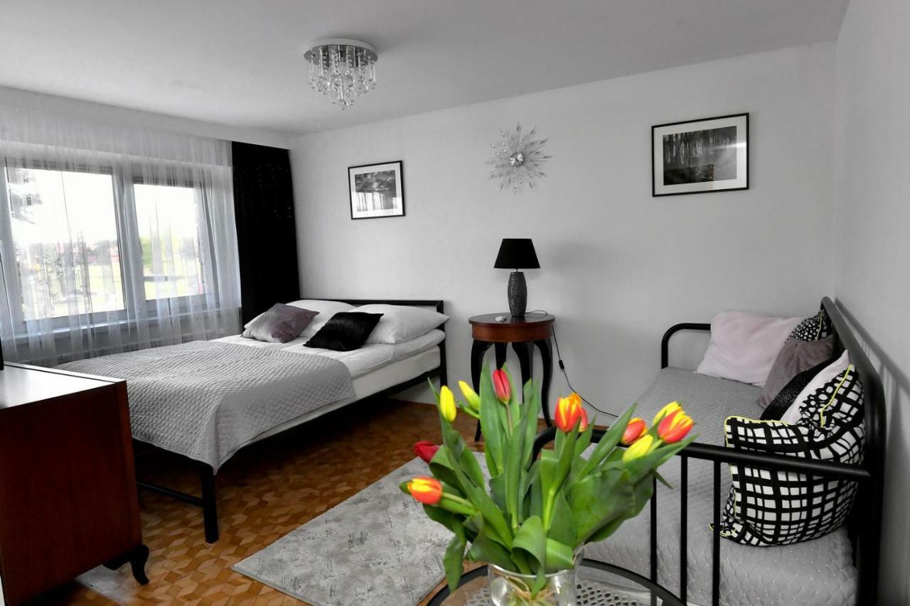 Apartament Spytkowice - Energylandia Krakow Oswiecim Wadowice Экстерьер фото